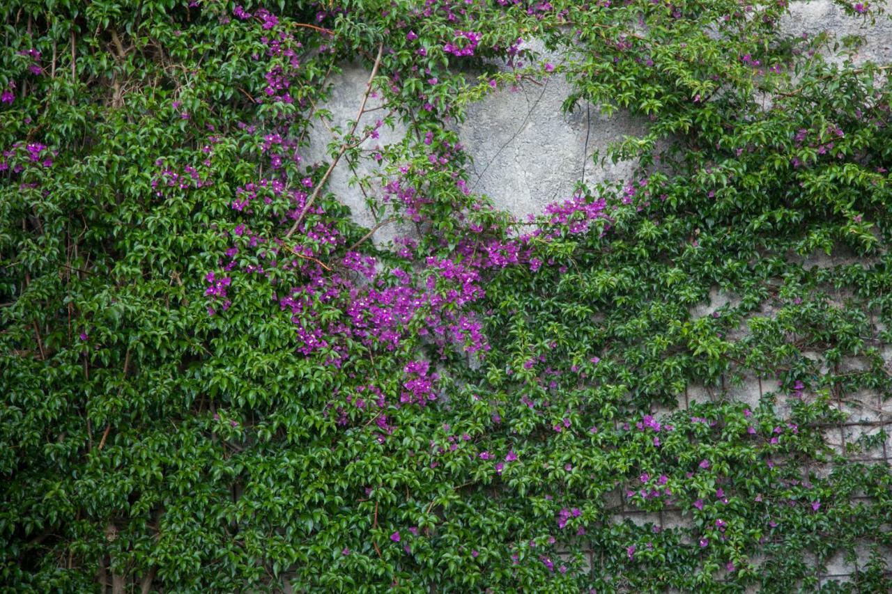 Abelardo's Home Ribadesella Dış mekan fotoğraf